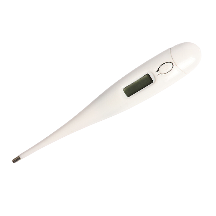 Electronic Thermometer