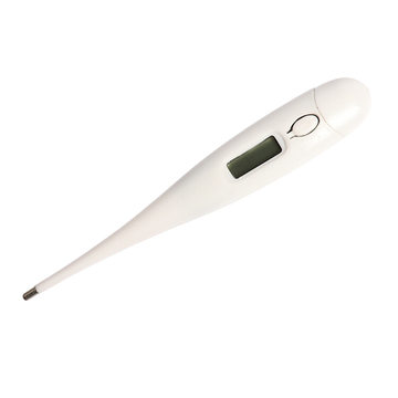 Electronic Thermometer